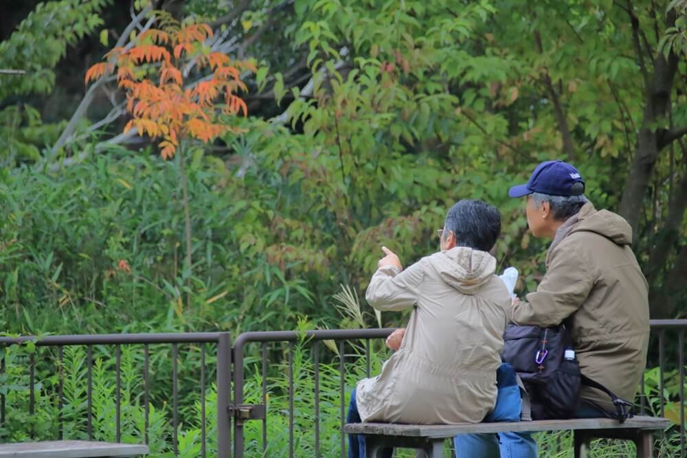 紅葉を観ている老夫婦の写真